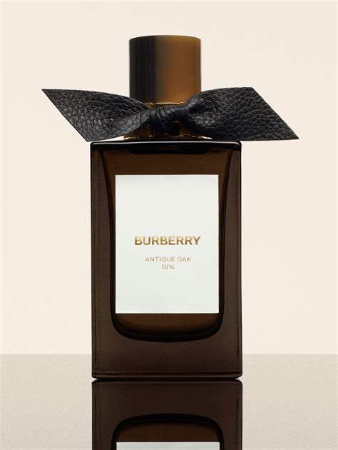 aleka lieven burberry|burberry signatures for men.